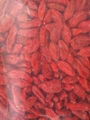 Goji berries