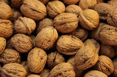 walnuts 