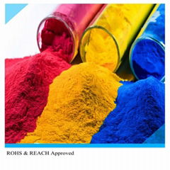 Organic Neon color Powder Pigment for
