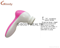 4 in 1 Rotating Electric Facial Brush Massager 2