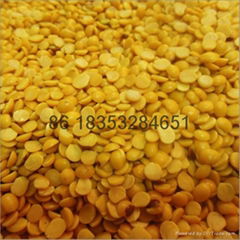 China best Yellow peas peeling machine