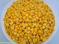 China best Yellow peas peeling machine for sale 4