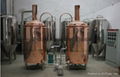 100L home red copper beer brewery