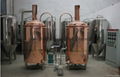 100L home red copper beer brewery machine for sale 2