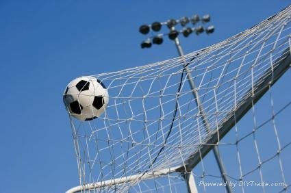 Soccer Goal&Net 2