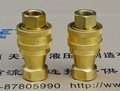 Brass Type Hydraulic Quick Coupling Series KZD  3