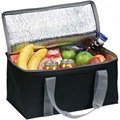 Portable Cooler Bags for Picnic or