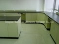 hot sale laboratory wall bench for school,factory and hospital 3