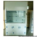 pp fume hood with pp sink and acid cabinet 3