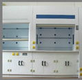 Acid Proof and Corrosion Resistant Lab Furniture Malaysia Wiht PP Cabinets 4