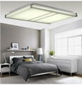 LED ceiling lamp 1