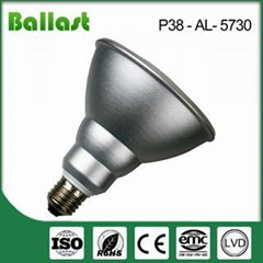 par38 led bulb