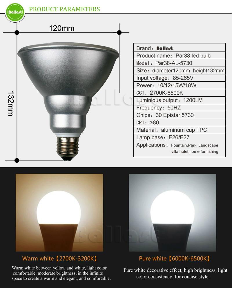 par38 led bulb 2