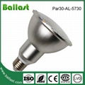 par30 led bulb