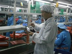 During Production Inspection 