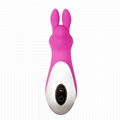 Adult products Manufacturer Silicone Female Sex Products Rechargeable 12 Speed  2