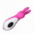 Adult products Manufacturer Silicone Female Sex Products Rechargeable 12 Speed  3