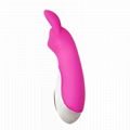 Adult products Manufacturer Silicone Female Sex Products Rechargeable 12 Speed  4