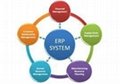 ERP Software 1