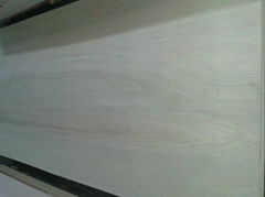 Malaysia Hardwood Plywood