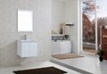 Bathroom Vanity Cabinets DRM17-60W 1