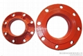 Flange 5