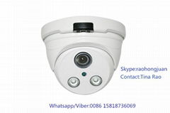 Vandalproof dome indoor array leds IP camera 