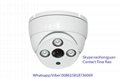 Indoor dome Vandalproof array leds IP Camera  1