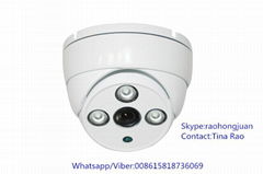 Indoor dome Vandalproof array leds IP Camera 