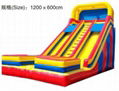 Bouncer Slide 1