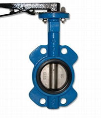 cast iron butterfly valve 