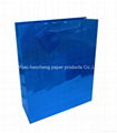 Holographic paper bag 5