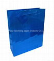 Holographic paper bag
