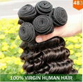 Indian virgin hair Deep Wave curly new hair products  2