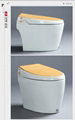 Tankless One-piece Intelligent Toilet,