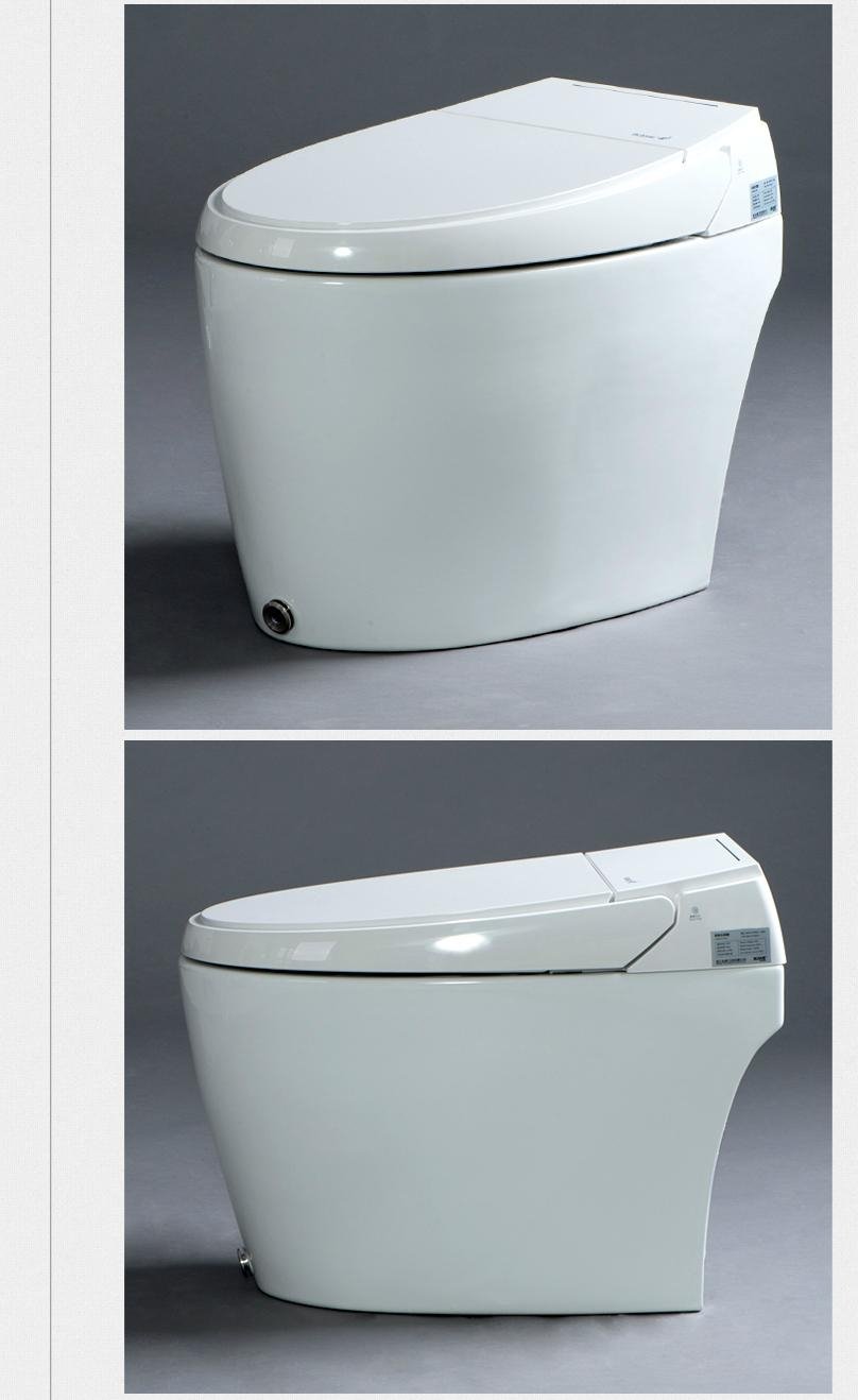 Tankless One-piece Intelligent Toilet, Cotton 3