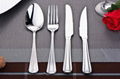 Hotel Stainless Steel Knife Fork Spoon Tableware 4