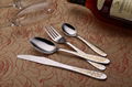 Guangdong jieyang stainless steel steak knife and fork spoon 5