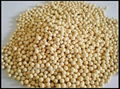 Molecular sieve 4A