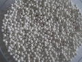 Activated alumina ball for catalyst