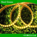 220V SMD3014 Double Row LED strip light -- Yellow 4