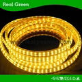 220V SMD3014 Double Row LED strip light -- Yellow