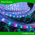 150Ft 220V Flat Multi Color RGB Rope Light 1