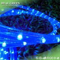 150Ft 220V 2-Wire Standard Blue LED Rope Light 2