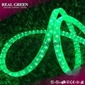 150Ft 220V 2-Wire Standard Emerald Green LED Rope Light 3