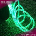 150Ft 220V 2-Wire Standard Emerald Green LED Rope Light 4