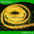 220V Flat Yellow LED Rope Light