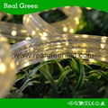 220V Flat Yellow LED Rope Light 3