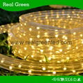 220V Flat Yellow LED Rope Light 4