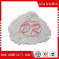 Cerium Oxide Polishing Powder 1